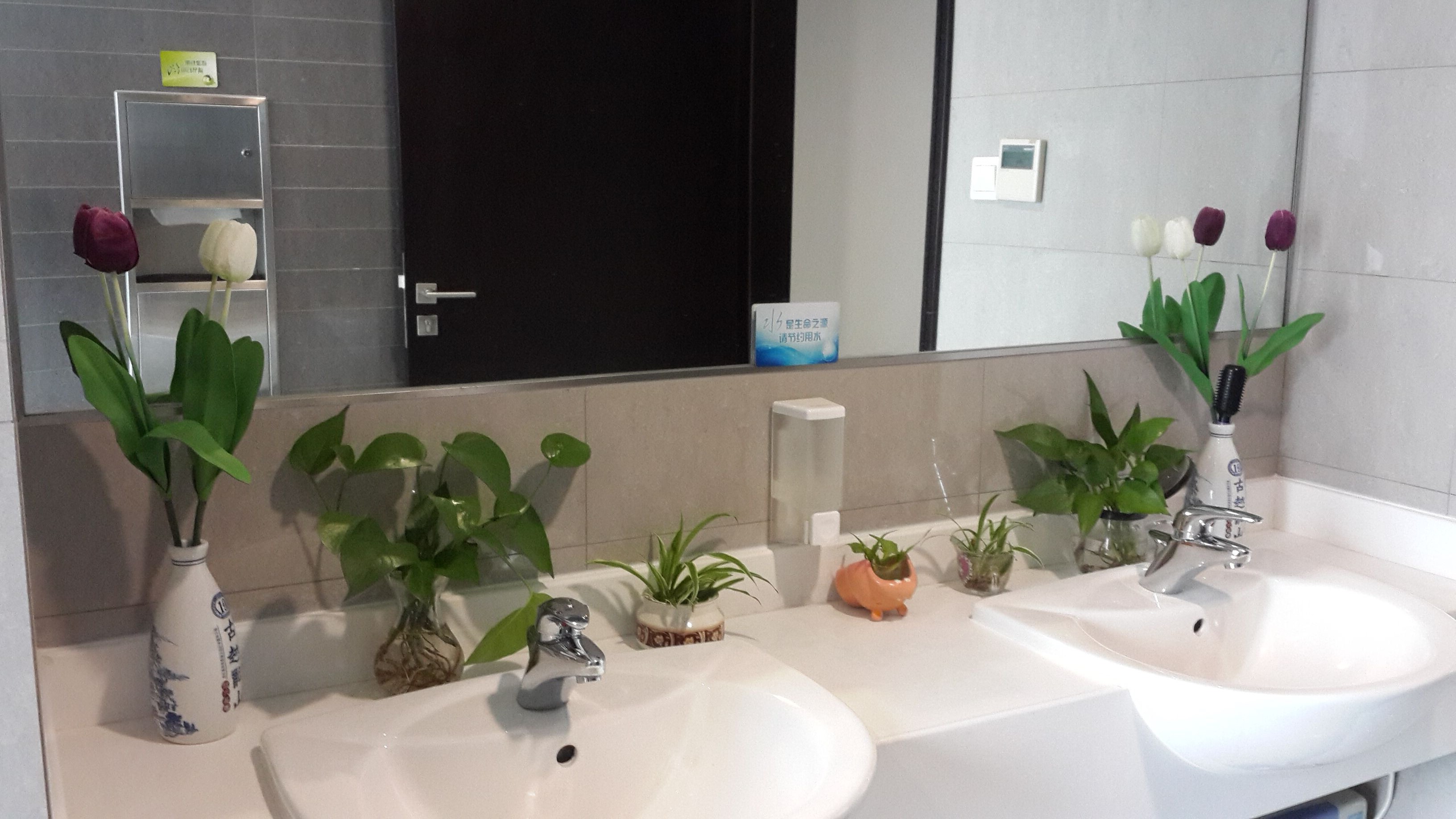 保洁小植物废物利用装点洗手间4.jpg